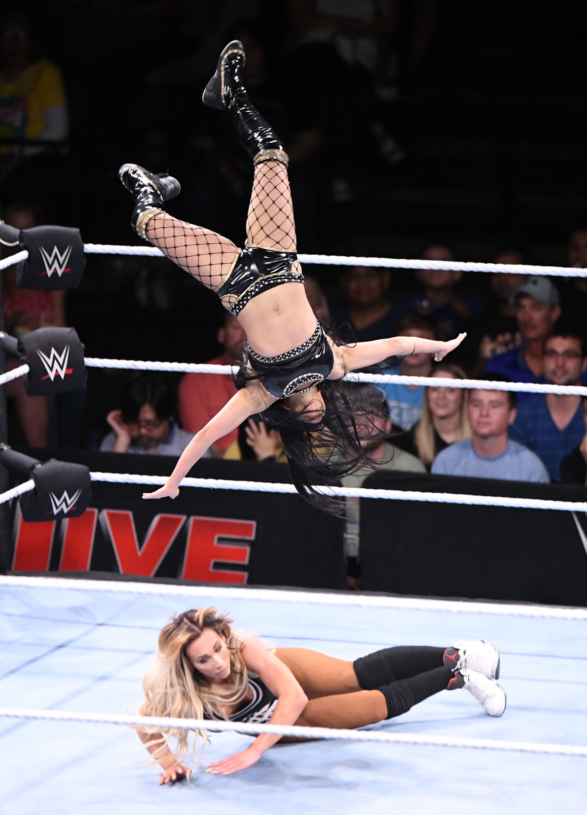 WWE at Reed Arena